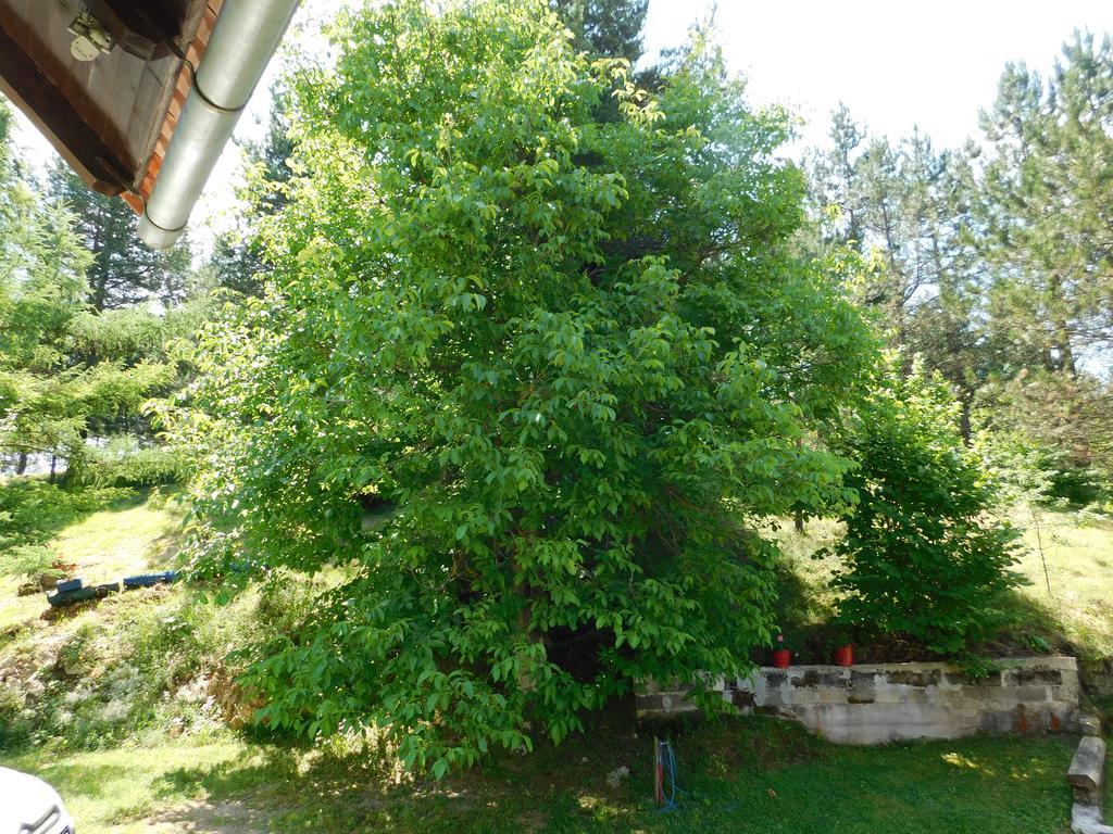 Holiday Home Lana Saborsko Exterior foto